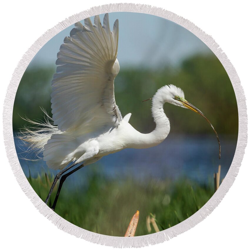 Great Egret Round Beach Towel featuring the photograph Great Egret 2014-1 by Thomas Young