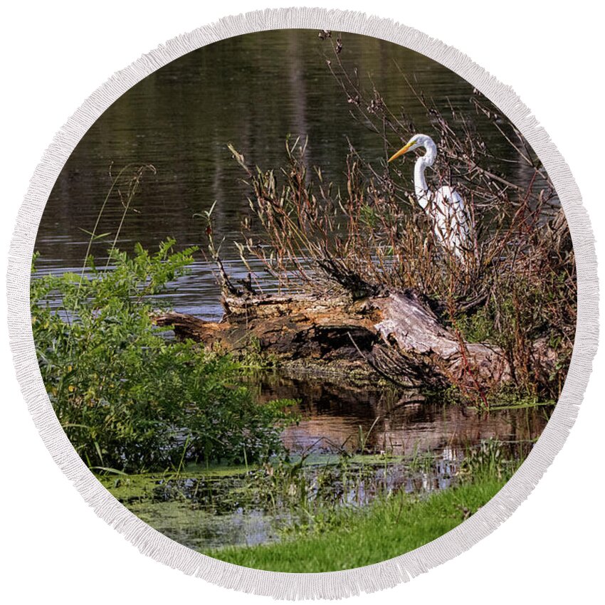 Bird Round Beach Towel featuring the photograph Great Egret at River's Edge by Ira Marcus