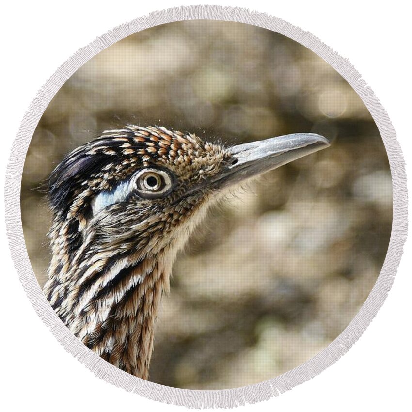 Greater Roadrunner Round Beach Towel featuring the photograph Greater Roadrunner by Fraida Gutovich