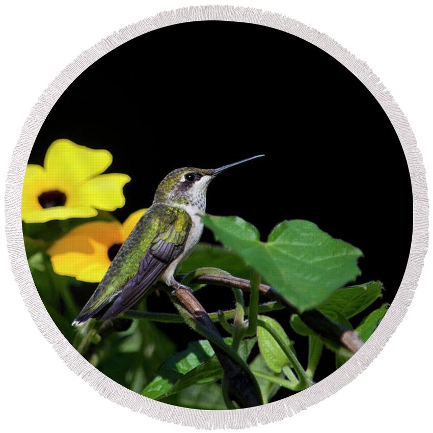 Hummingbird Round Beach Towel featuring the photograph Green Garden Jewel by Christina Rollo