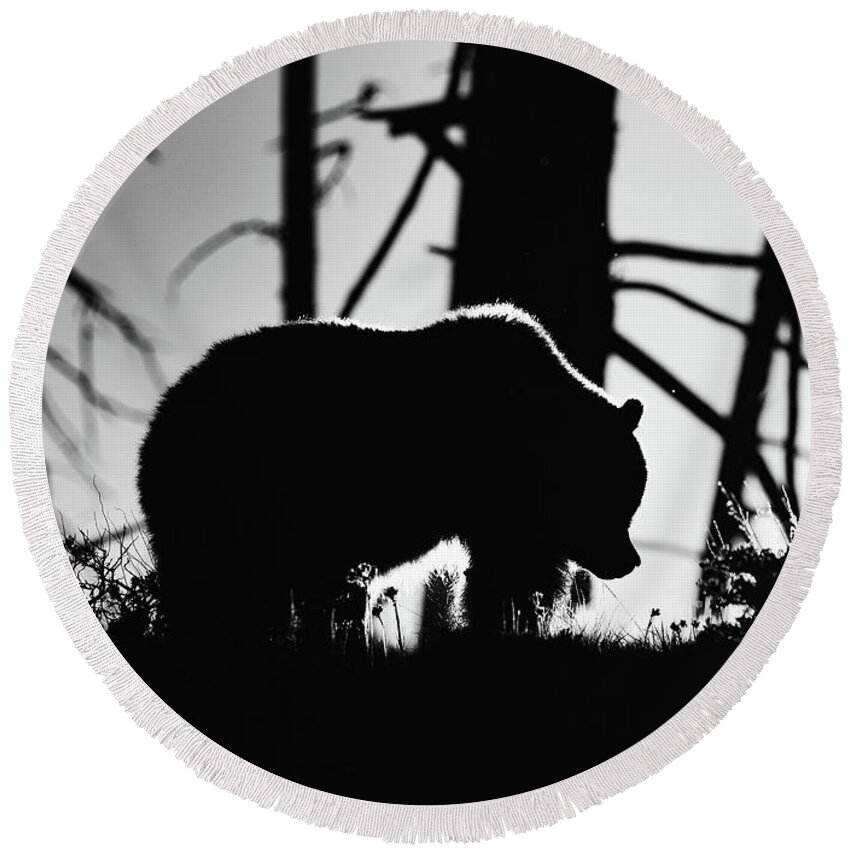 Grizzly Bear Round Beach Towel featuring the photograph Grizzly Silhouette by Max Waugh