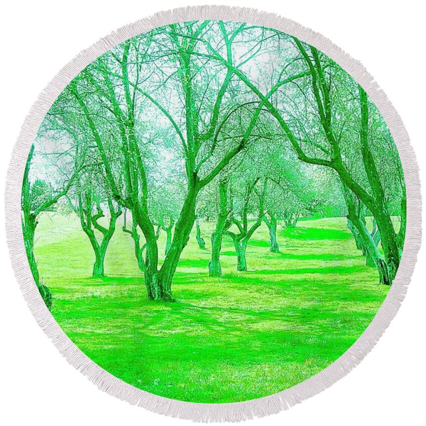 Green Trees Round Beach Towel featuring the photograph Grove 3 by Marty Klar