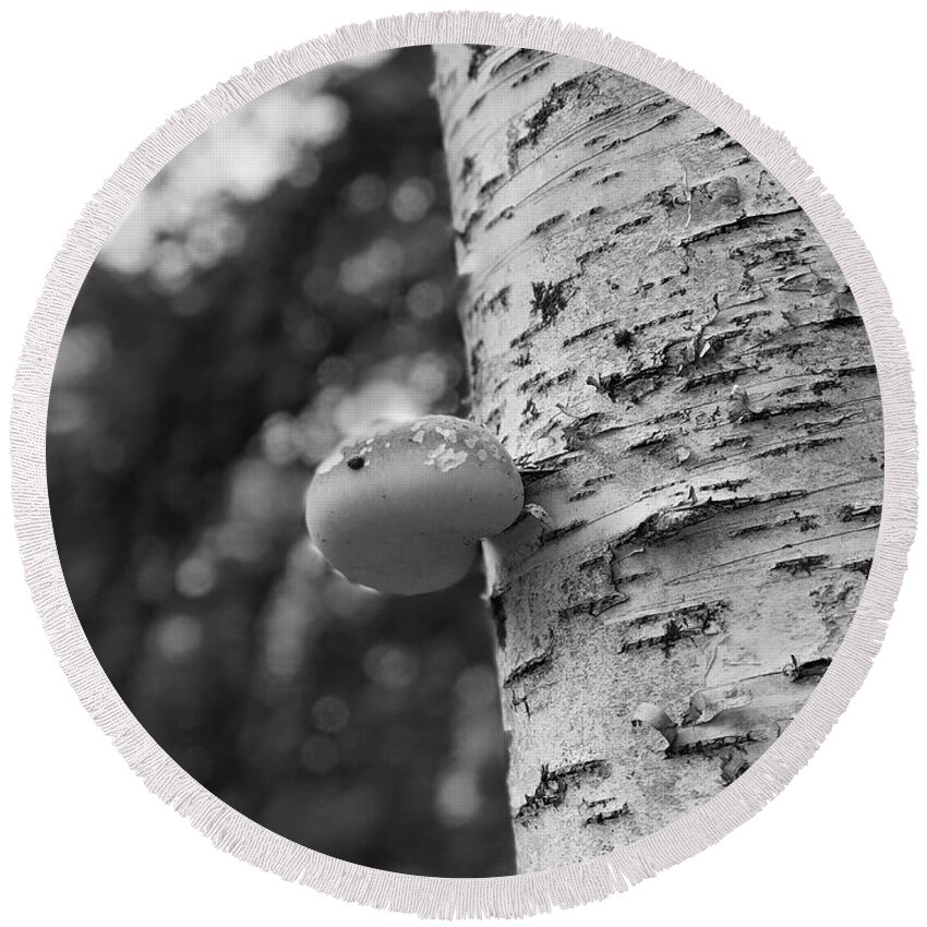 Birch Tree Round Beach Towel featuring the photograph Heart on a Tree by Tom Johnson