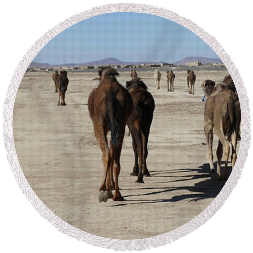 Morocco Round Beach Towel featuring the photograph Herd of camels crossing the highway near Rissani by Steve Estvanik