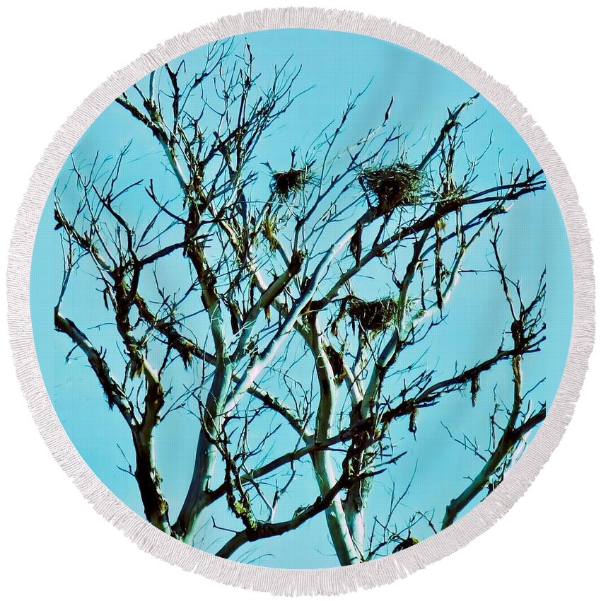 Arizona Round Beach Towel featuring the photograph Heron Nests by Judy Kennedy