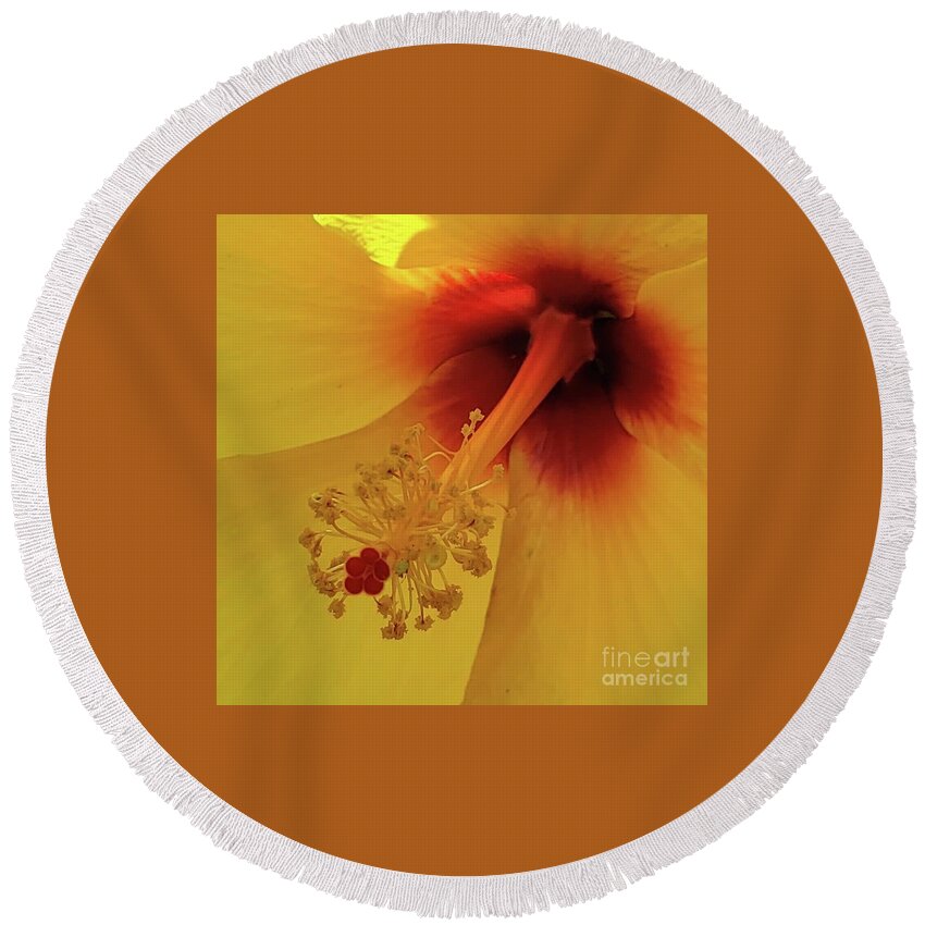 Flower Round Beach Towel featuring the photograph Hibiscus by Anita Adams