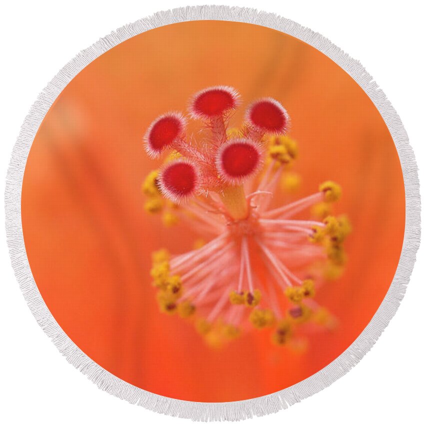 Hibiscus Beauty Round Beach Towel featuring the digital art Hibiscus beauty 222 by Kevin Chippindall