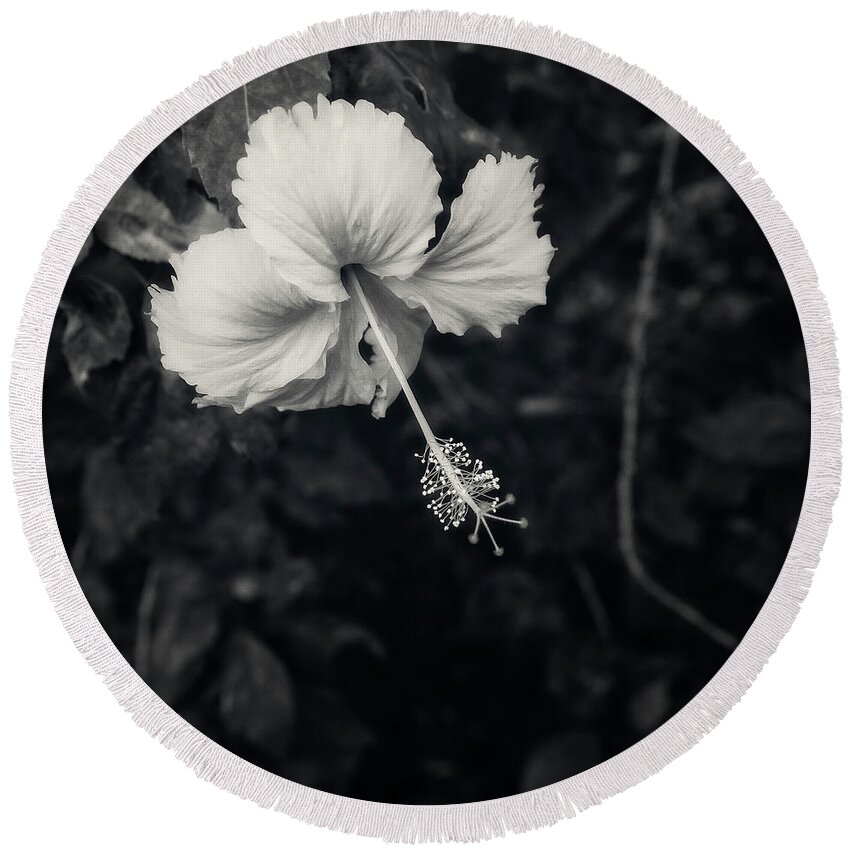 Hibiscus Round Beach Towel featuring the photograph Hibiscus Flower in Black and White by Catherine Reading