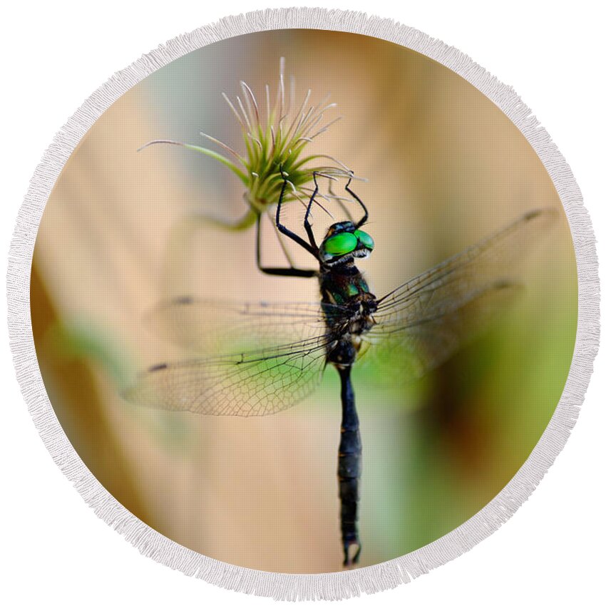 Dragonfly Round Beach Towel featuring the photograph Hines Emerald Dragonfly by Kae Cheatham