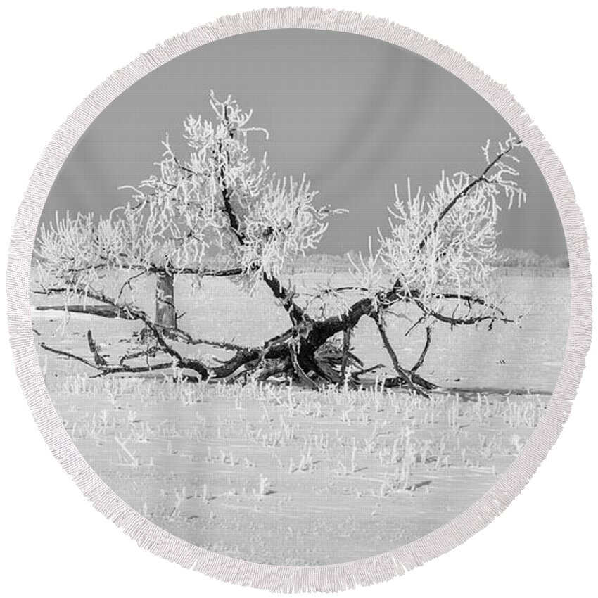 Hoar Frost Round Beach Towel featuring the photograph Hoar Frost at BVG 2018-7 by Thomas Young