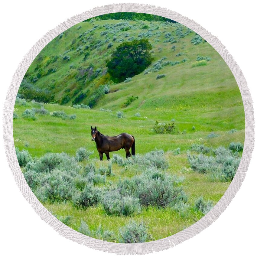 Horse Round Beach Towel featuring the photograph Horse in the Little Bighorn Valley by Dan Miller