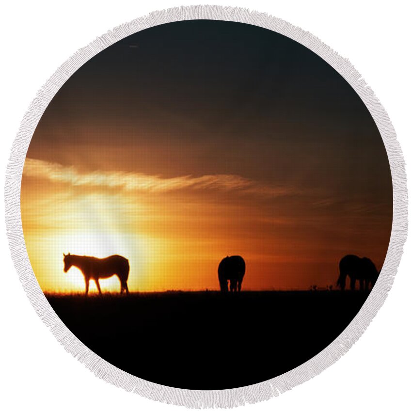 Horses Round Beach Towel featuring the photograph Horses at Sunset by Gary Langley