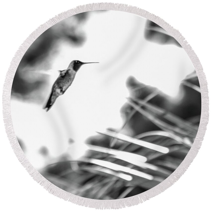 Photograph Round Beach Towel featuring the photograph Humminbird in Black and White by Kelly Thackeray