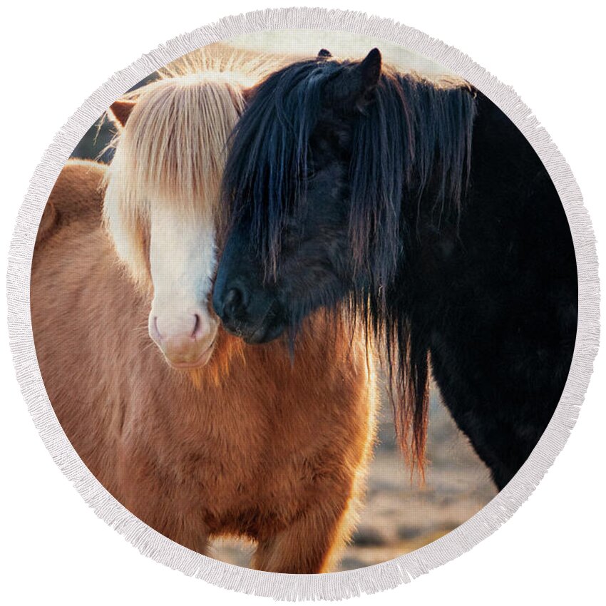 Iceland Round Beach Towel featuring the photograph Icelandic Horse Love by Kathryn McBride