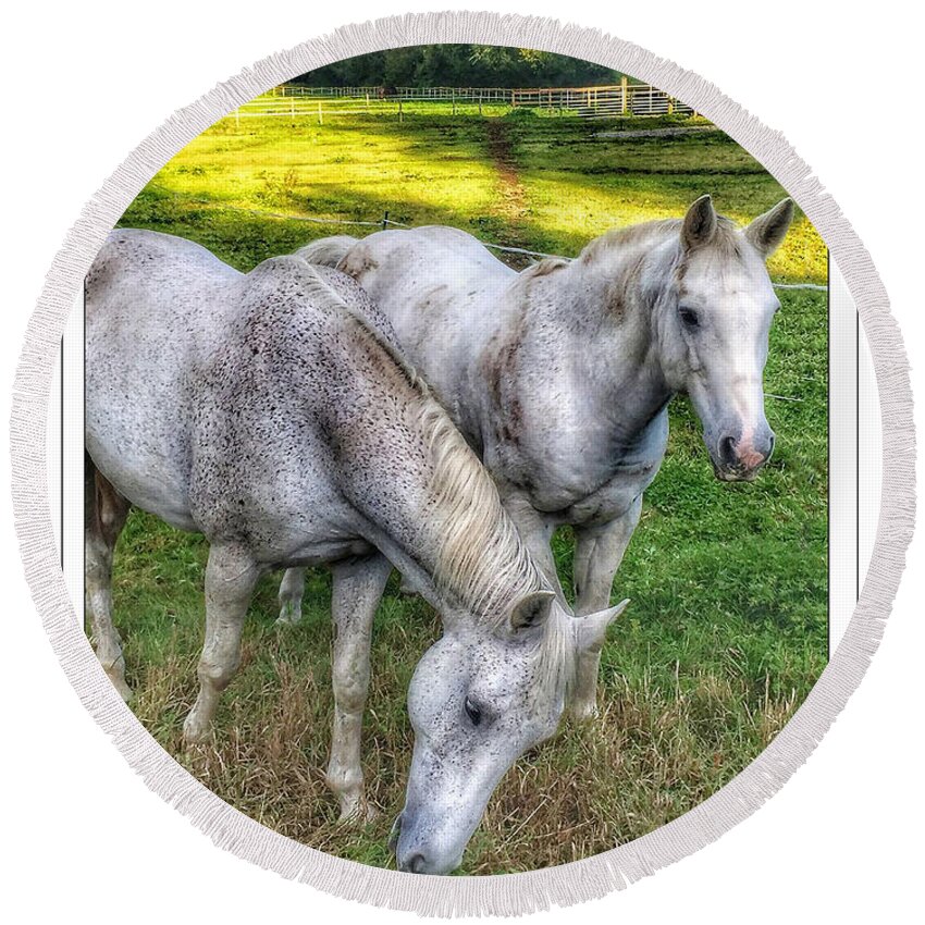 Horses Round Beach Towel featuring the photograph In The Pasture by Peggy Dietz