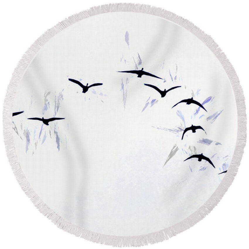 Canadian Geese Round Beach Towel featuring the photograph Incoming by Scott Cameron