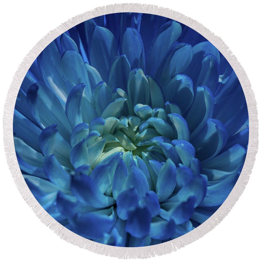 Chrysanthemum Round Beach Towel featuring the photograph Infinite by Linda Howes
