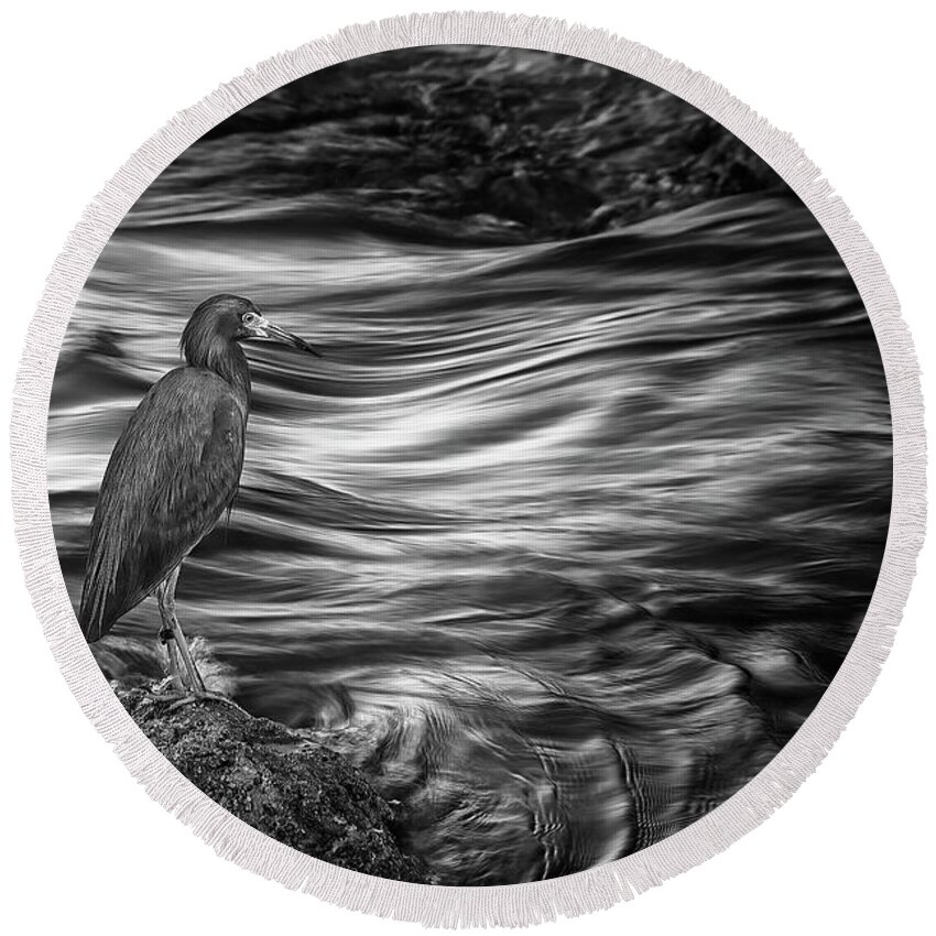 Wildlife Round Beach Towel featuring the photograph Inlet Heron 2 by Steve DaPonte