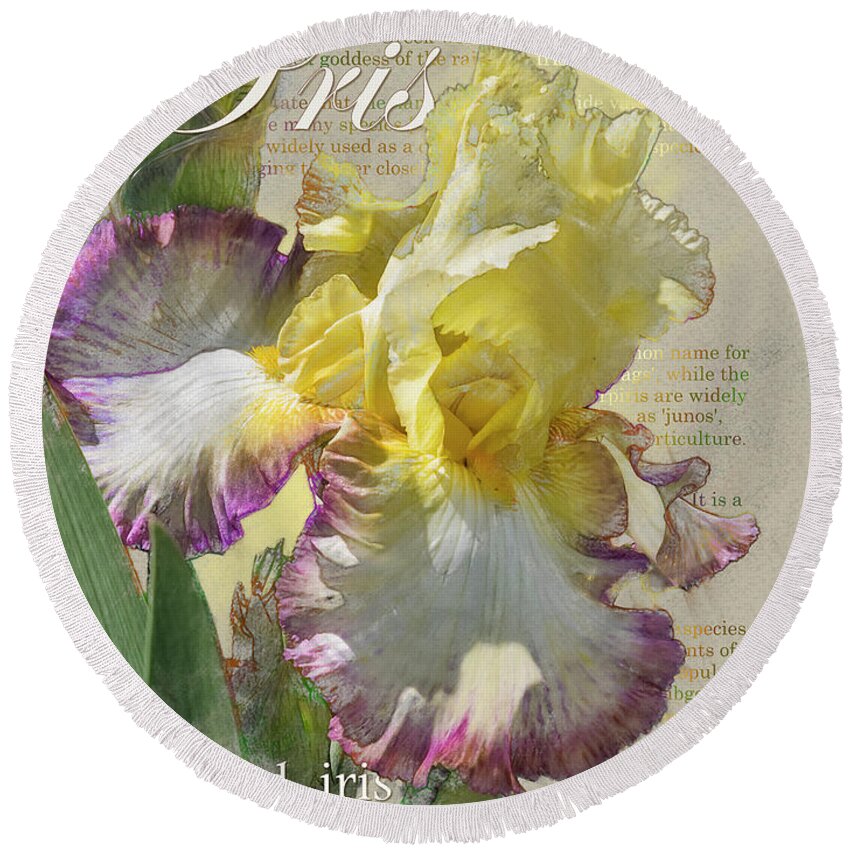 Spring Round Beach Towel featuring the digital art Iris, 'Kiss of Kisses' Graphic by Mark Mille