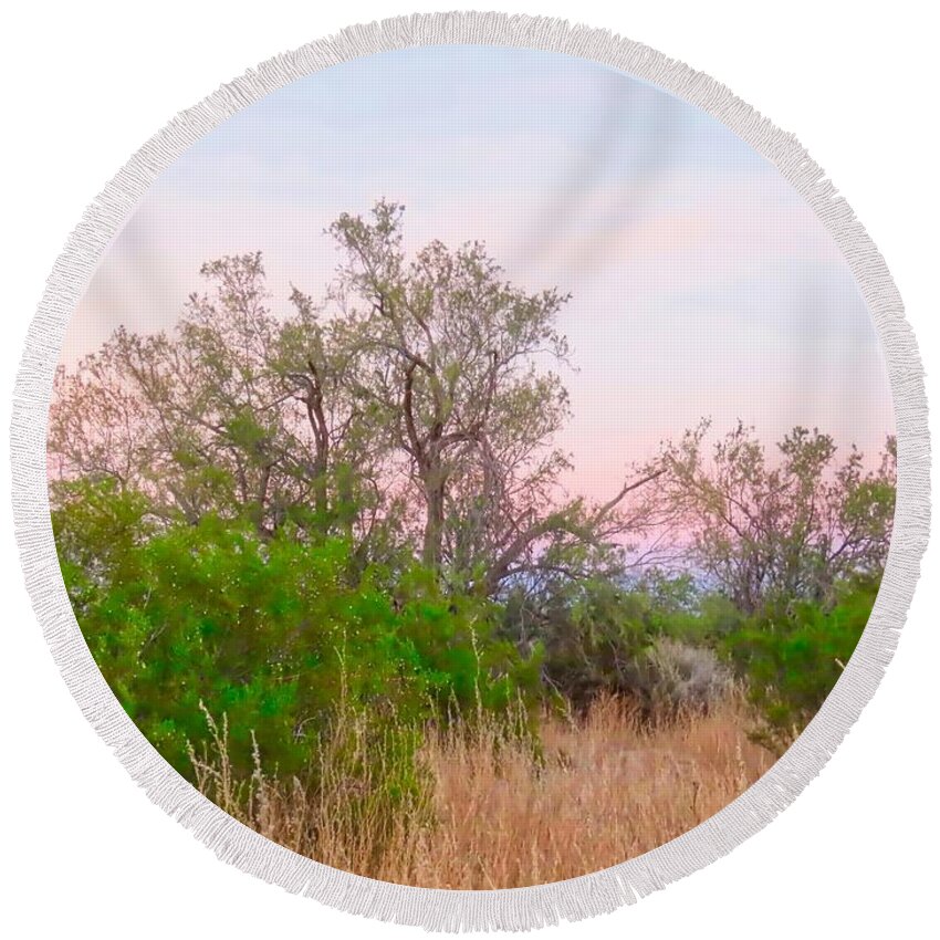 Affordable Round Beach Towel featuring the photograph Ironwood Trees After Sundown by Judy Kennedy