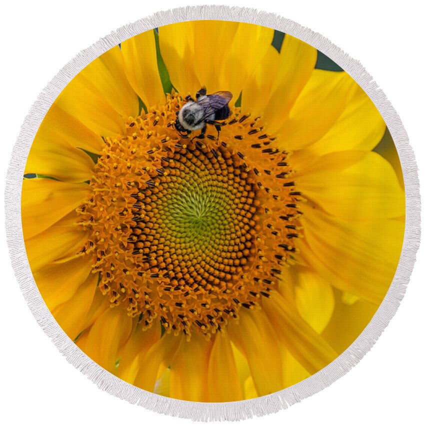 Sunflower Round Beach Towel featuring the photograph It's a Good Day by Linda Bonaccorsi