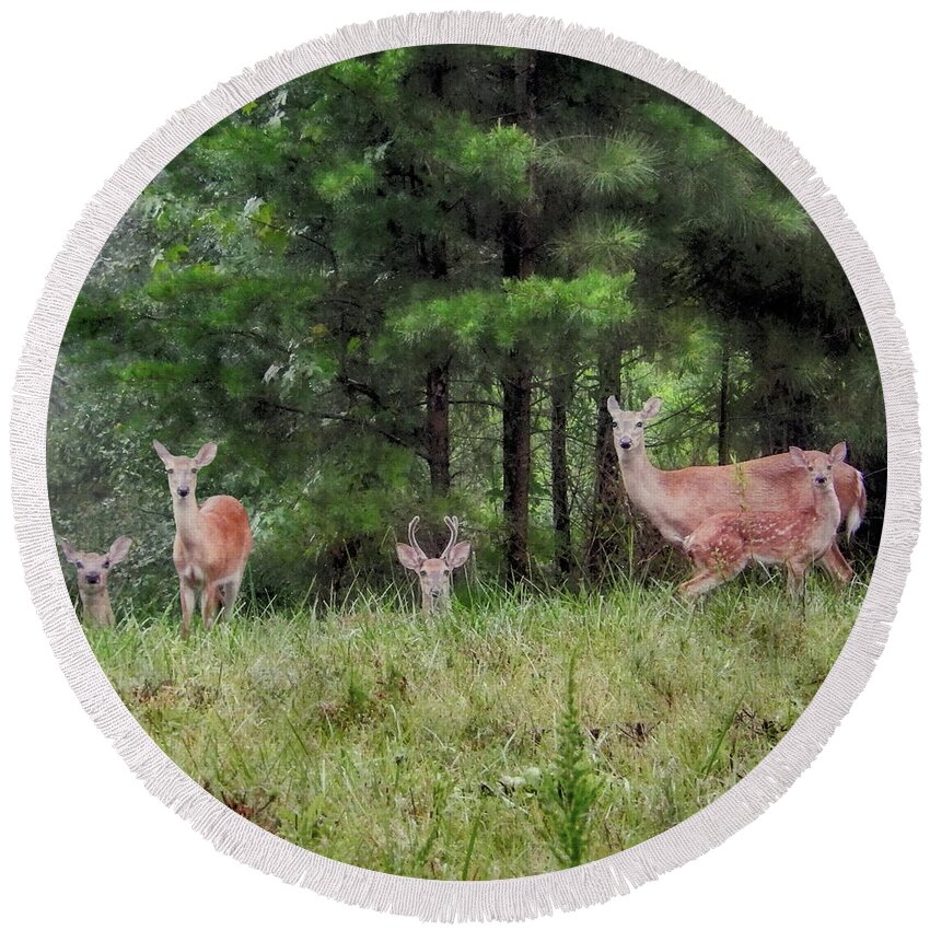 Deer Round Beach Towel featuring the photograph I've Been Spotted by Michael Frank