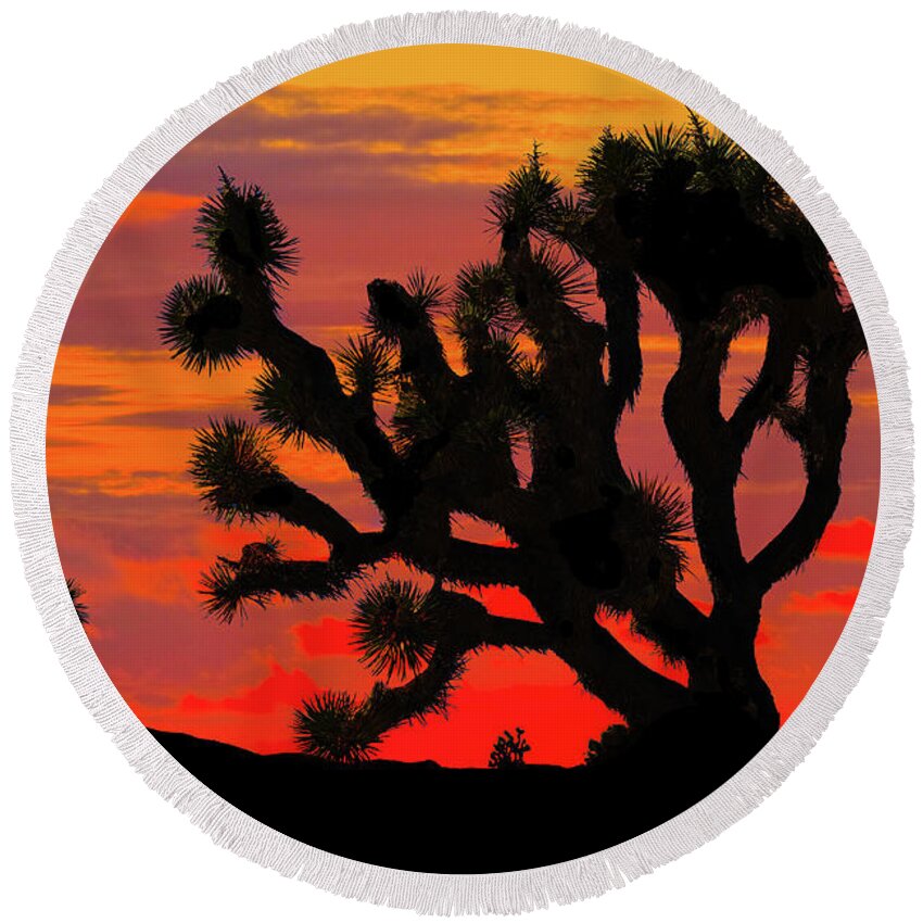Arid Climate Round Beach Towel featuring the photograph Joshua Tree at Sunset by Jeff Goulden