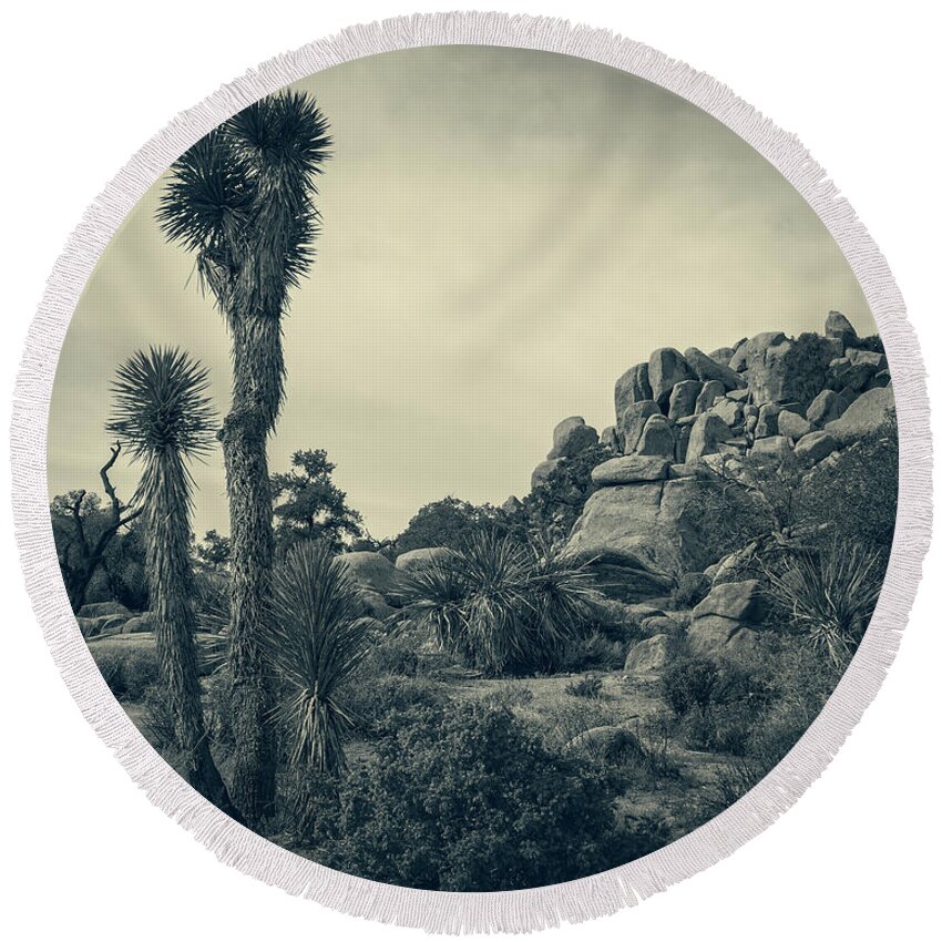 Desert Queen Ranch Round Beach Towel featuring the photograph Joshua Tree Landscape by Sandra Selle Rodriguez