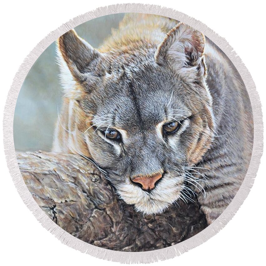 Cougar Round Beach Towel featuring the painting Just Chillin - Cougar by Alan M Hunt by Alan M Hunt