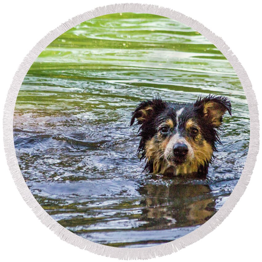 Dog Round Beach Towel featuring the photograph Just Swimming by Kate Brown