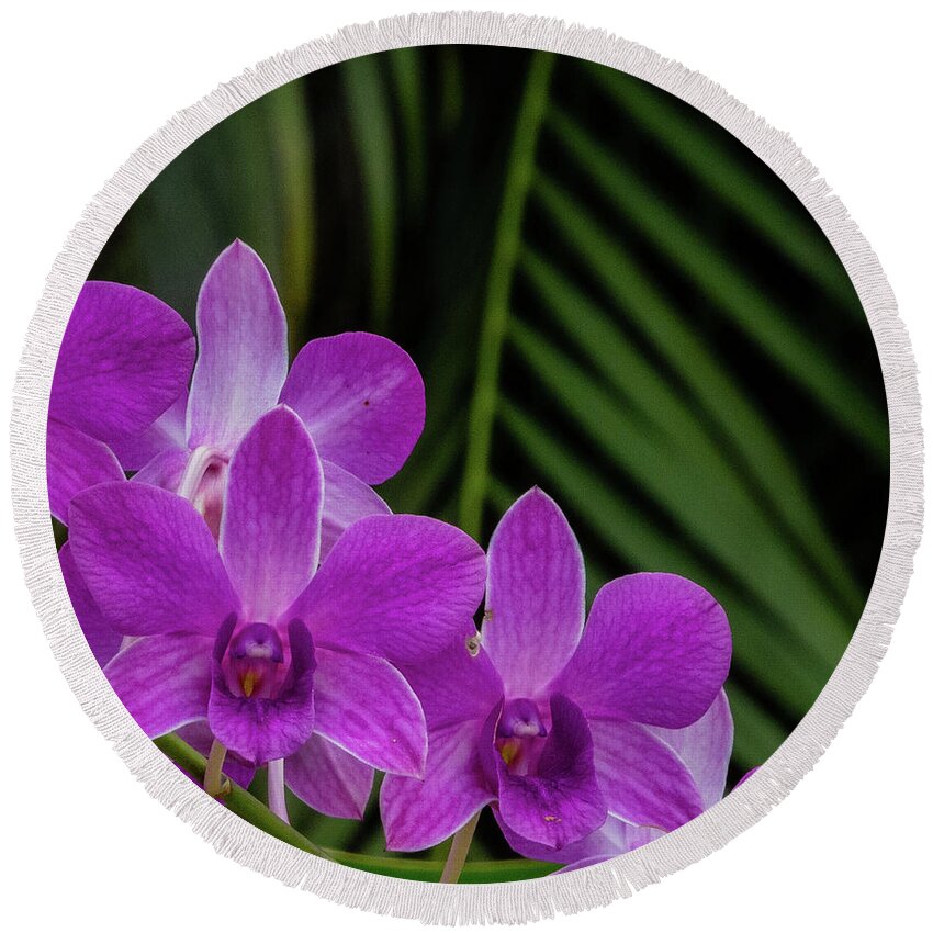 Hawaii Round Beach Towel featuring the photograph Purple Orchids by Doug Davidson
