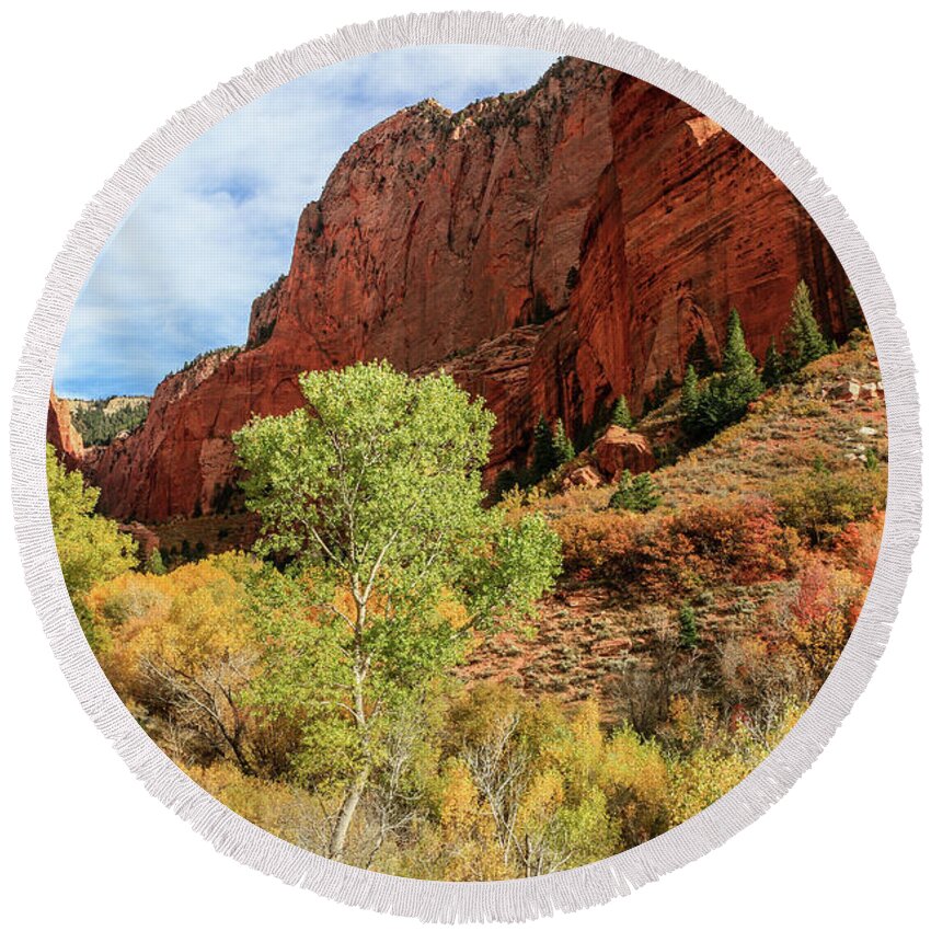 Canyons Round Beach Towel featuring the photograph Kolob Canyon 1, Zion National Park by Dawn Richards