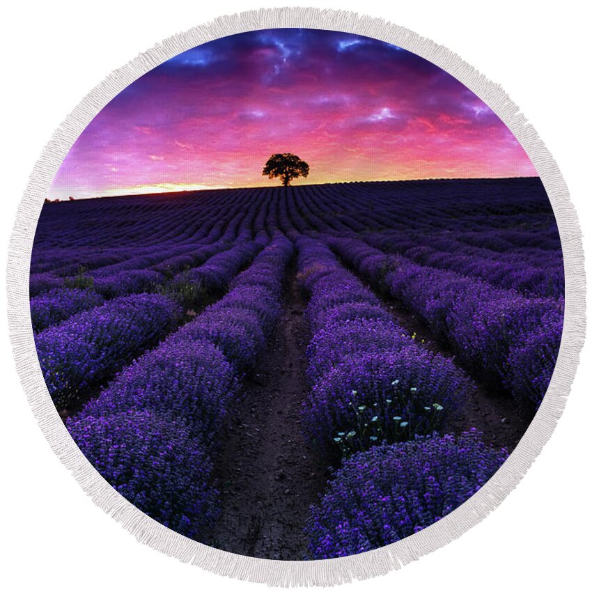 Afterglow Round Beach Towel featuring the photograph Lavender Dreams by Evgeni Dinev
