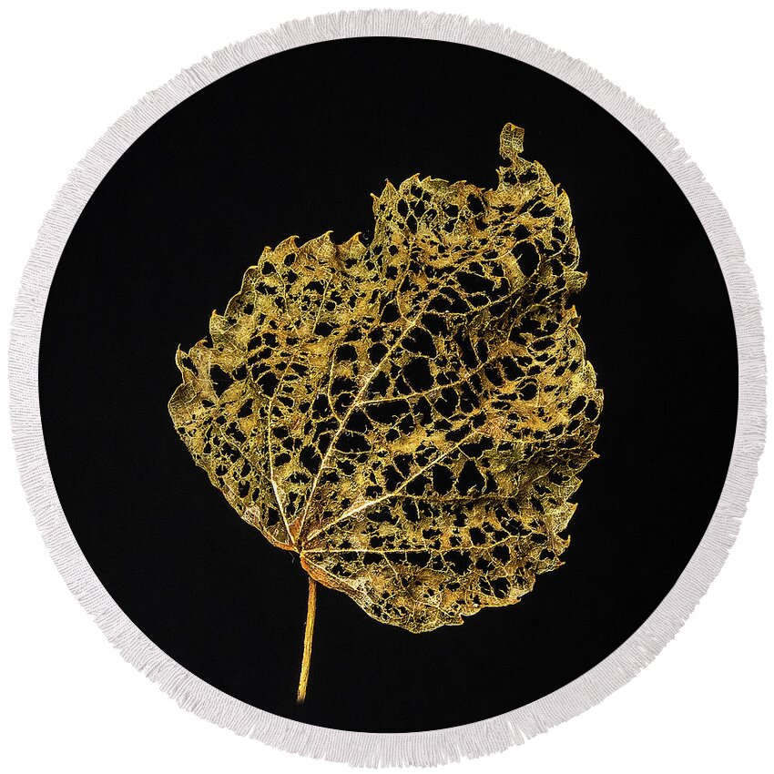 Leaf Round Beach Towel featuring the photograph Linden Leaf Two by Ira Marcus