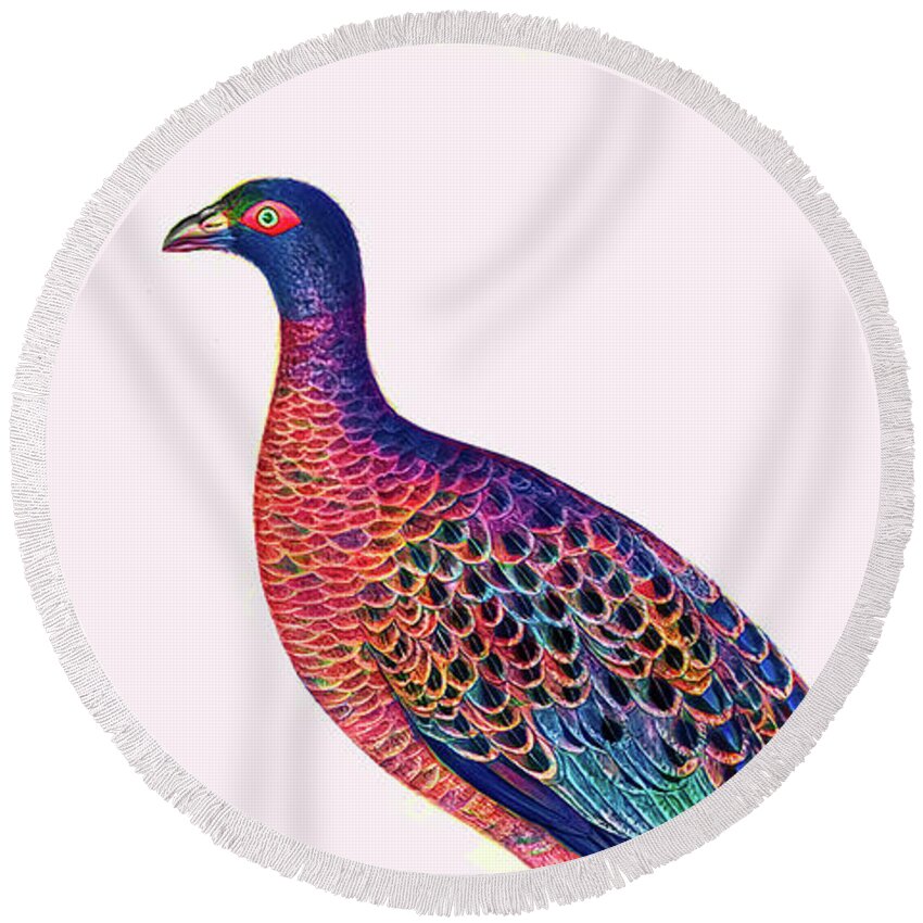 Bird Round Beach Towel featuring the photograph Lineated Peacock Pheasant by Jack Torcello