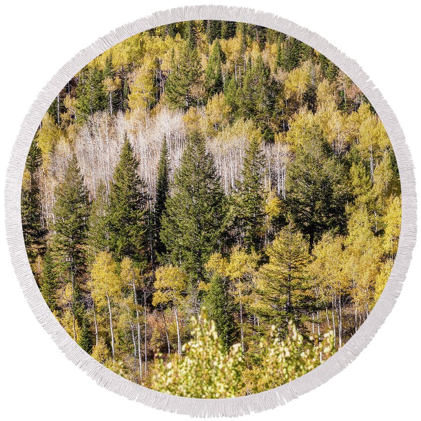 Utah Round Beach Towel featuring the photograph Little Cottonwood Canyon Fall Color by Donnie Whitaker