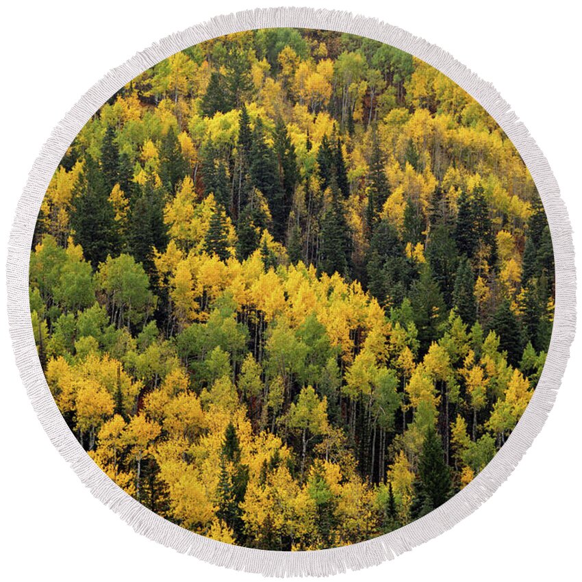  Round Beach Towel featuring the photograph Little Cottonwood Fall Color - Alta, Utah by Brett Pelletier