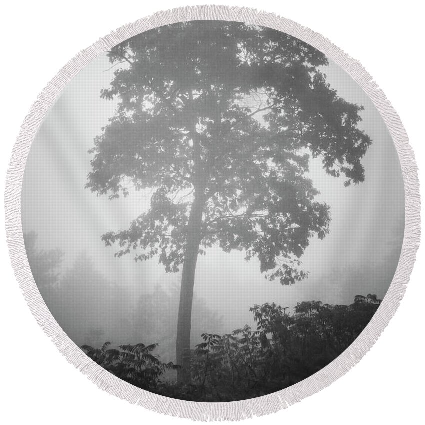 Arbor Round Beach Towel featuring the photograph Lone Tree and Fog BW by David Gordon