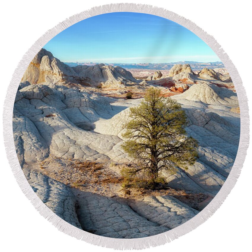 2017 Round Beach Towel featuring the photograph Lone Tree at White Pocket by Alex Mironyuk