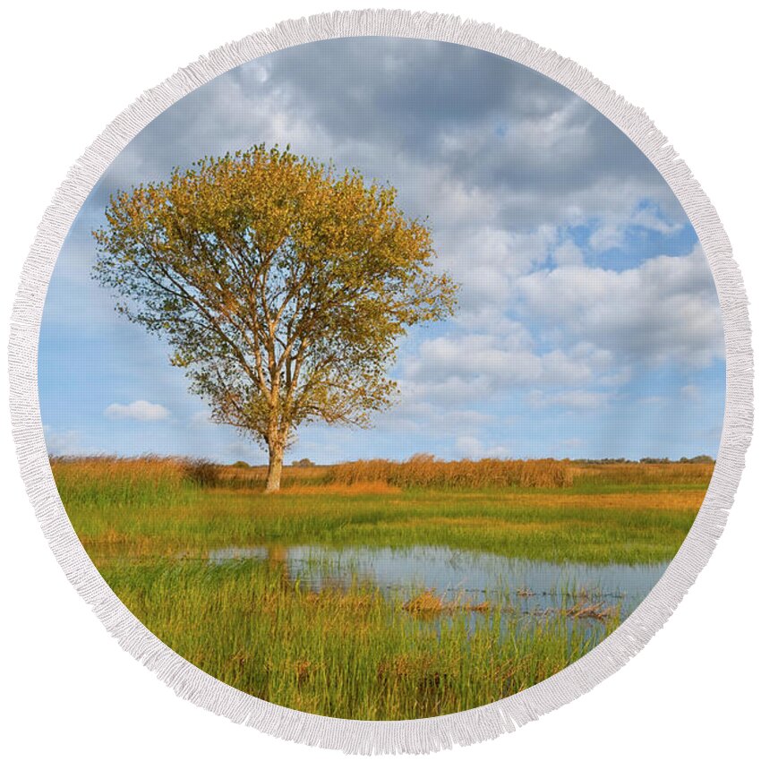 Autumn Round Beach Towel featuring the photograph Lone Tree by a Wetland by Jeff Goulden