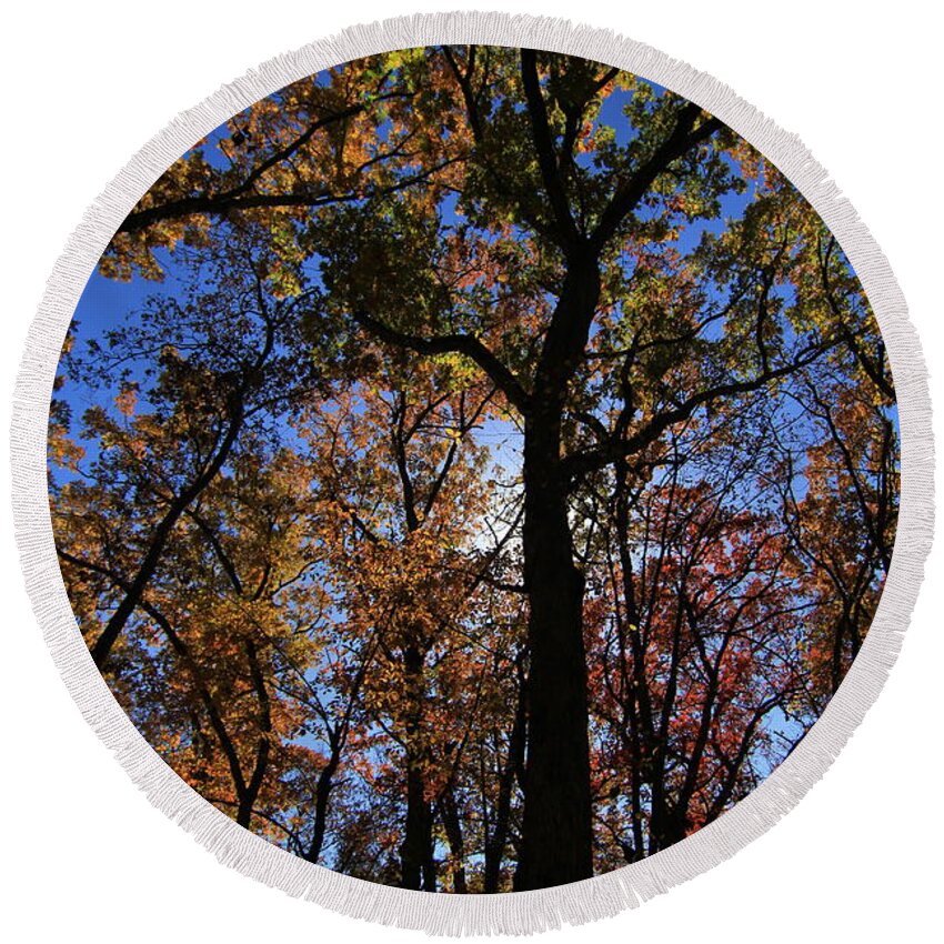 Fall Round Beach Towel featuring the photograph Looking Up #7 by Rick Rauzi
