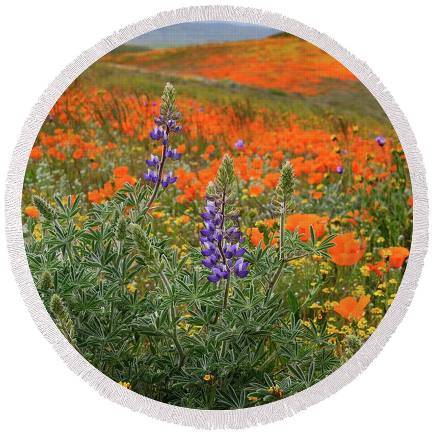 Antelope Valley Round Beach Towel featuring the photograph Lupine and Poppies in Antelope Valley by Kathy Yates