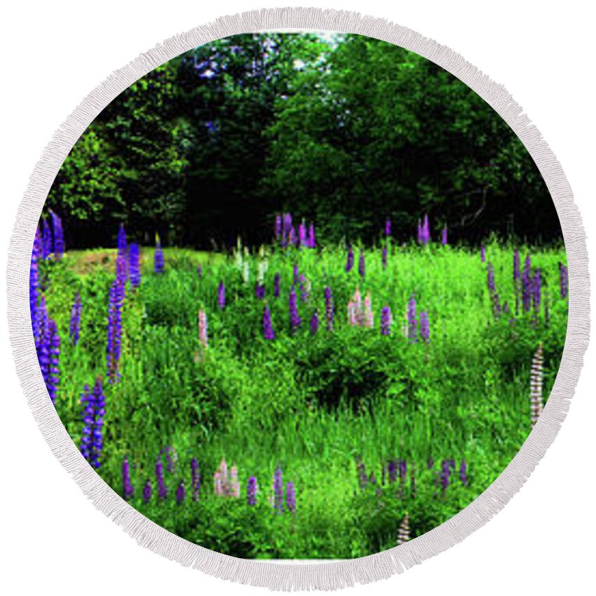Pink Round Beach Towel featuring the photograph Lupine Panorama by Wayne King
