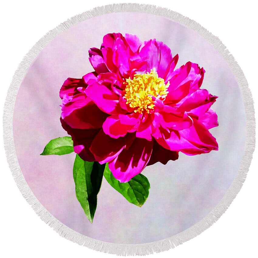 Peony Round Beach Towel featuring the photograph Magenta Peony in Sunshine by Susan Savad