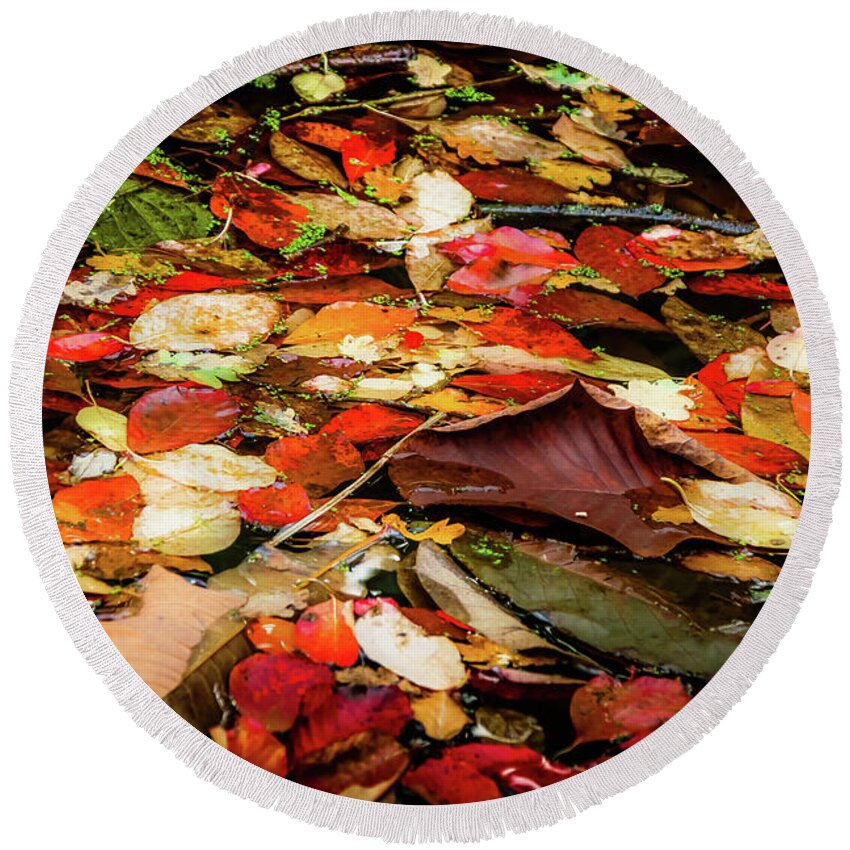 Tree Round Beach Towel featuring the photograph Magical Autumn - 4 by Christopher Maxum
