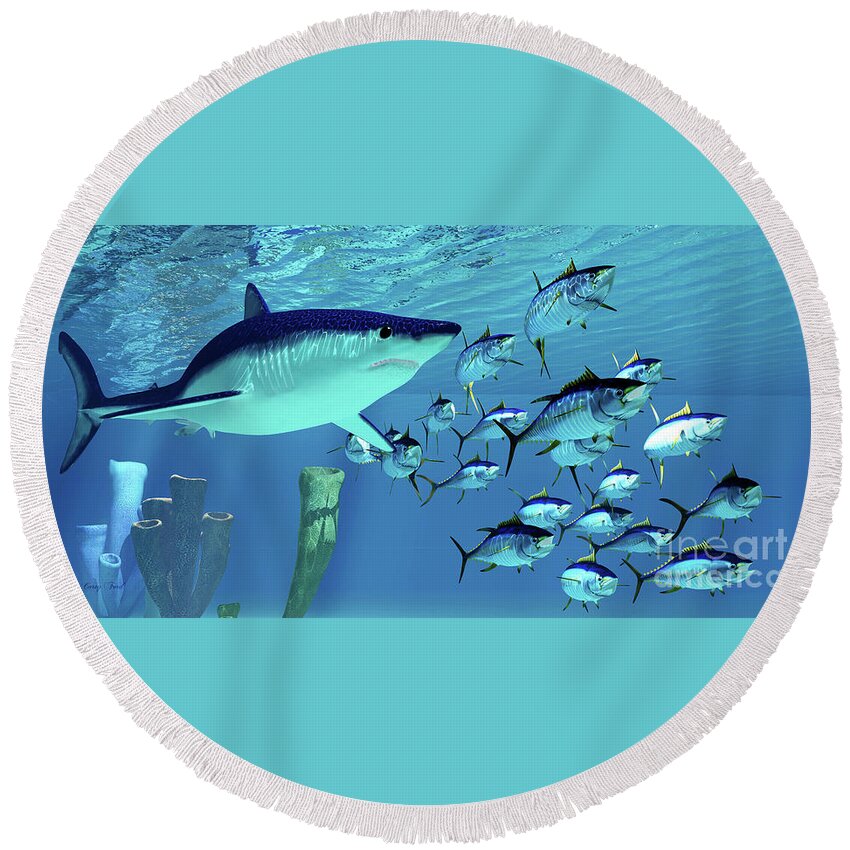 Maco Shark Round Beach Towel featuring the digital art Mako Shark after Yellowfin Tuna by Corey Ford