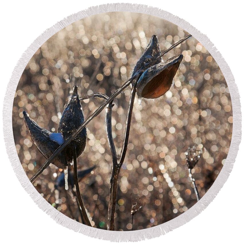 Milkweed Round Beach Towel featuring the photograph Milk pods in a field of sparkling light by Tatiana Travelways
