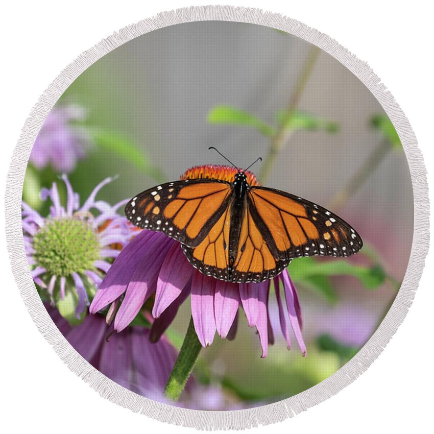 Monarch Butterfly Round Beach Towel featuring the photograph Monarch 2019-3 by Thomas Young