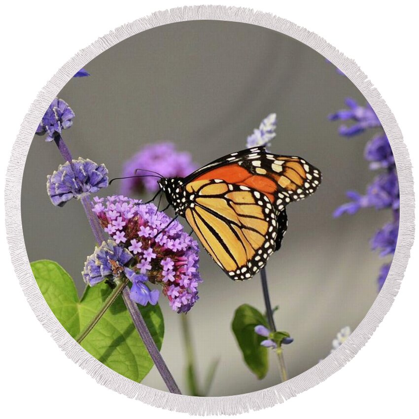 Butterflies Round Beach Towel featuring the photograph Monarch on Purple Flowers by Judy Genovese
