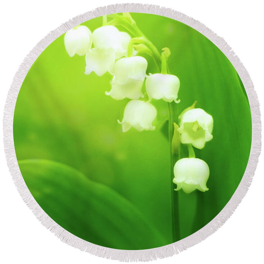 Lily Of The Valley Round Beach Towel featuring the photograph Muguet Melody by Iryna Goodall